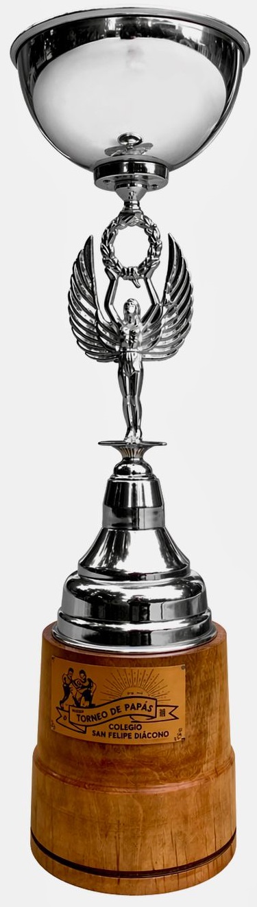 Trofeo Apoderados SFD
